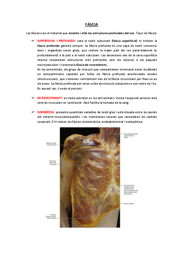 Miniatura del documento ANATOMIA-FASCIA.pdf