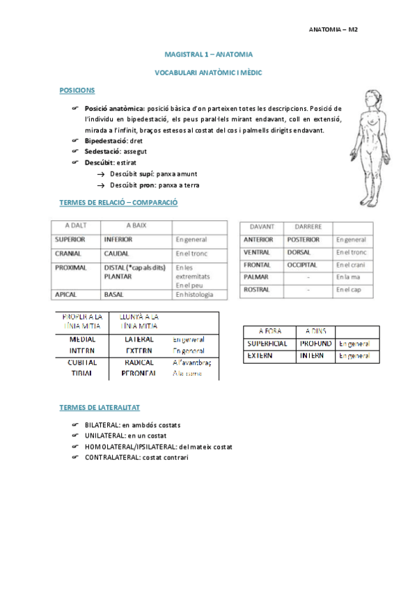 Miniatura del documento MAGISTRAL-1.pdf