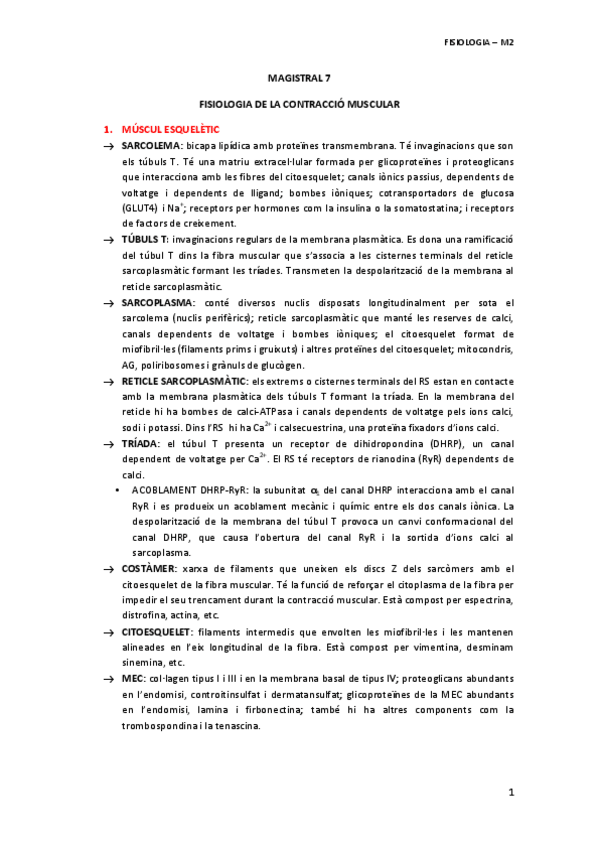 Miniatura del documento MAGISTRAL-7-CONTRACCIO-MUSCULAR.pdf