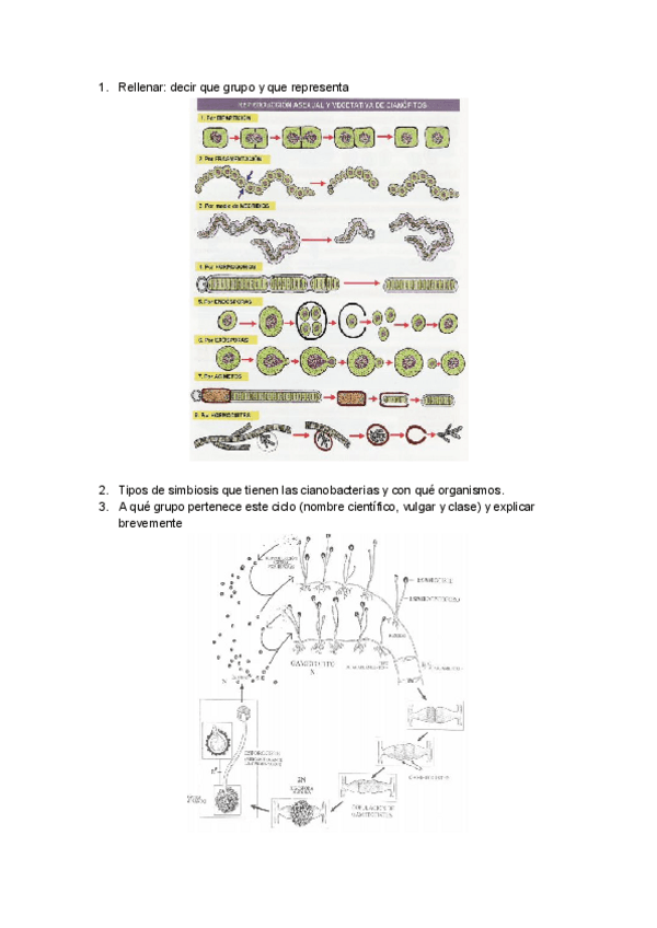 Miniatura del documento examen botánica lorite.pdf