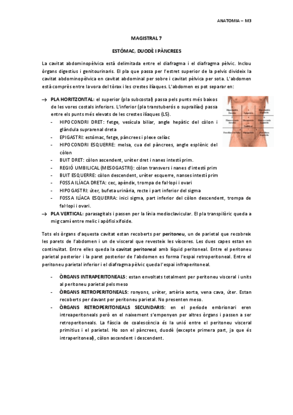 Miniatura del documento MAGISTRAL-7-ESTOMAC-DUODE-I-PANCREES.pdf
