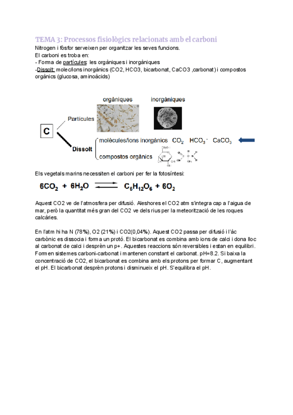 Miniatura del documento TEMA-1.3-Processos-fisiologics-relacionats-amb-el-carboni.pdf