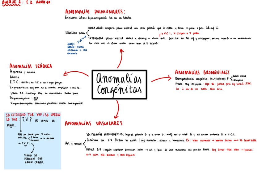 Miniatura del documento Bloque-2-ARROYO.pdf