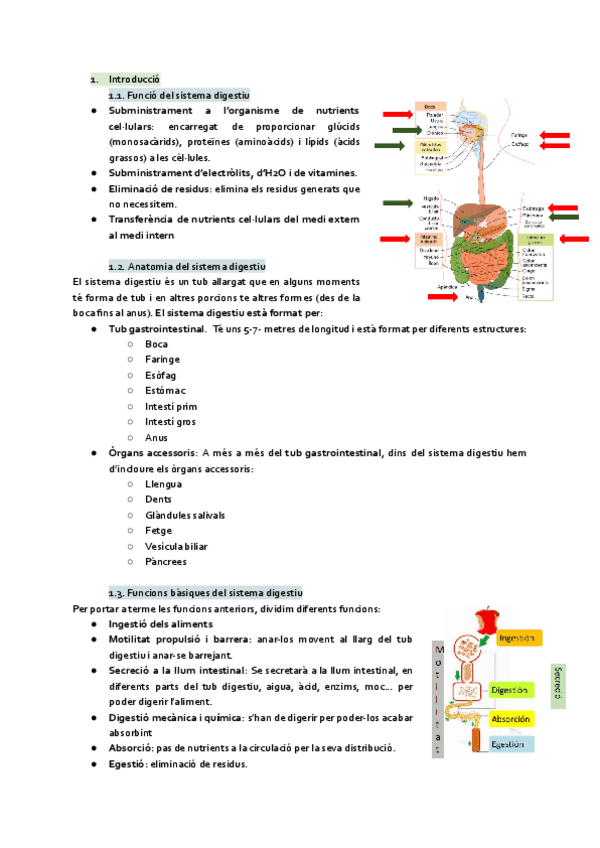 Miniatura del documento Sistema-digestiu.pdf