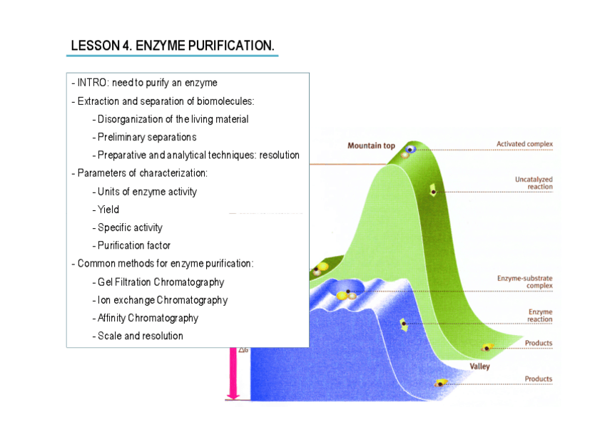 Miniatura del documento EGA-Tema-4.pdf