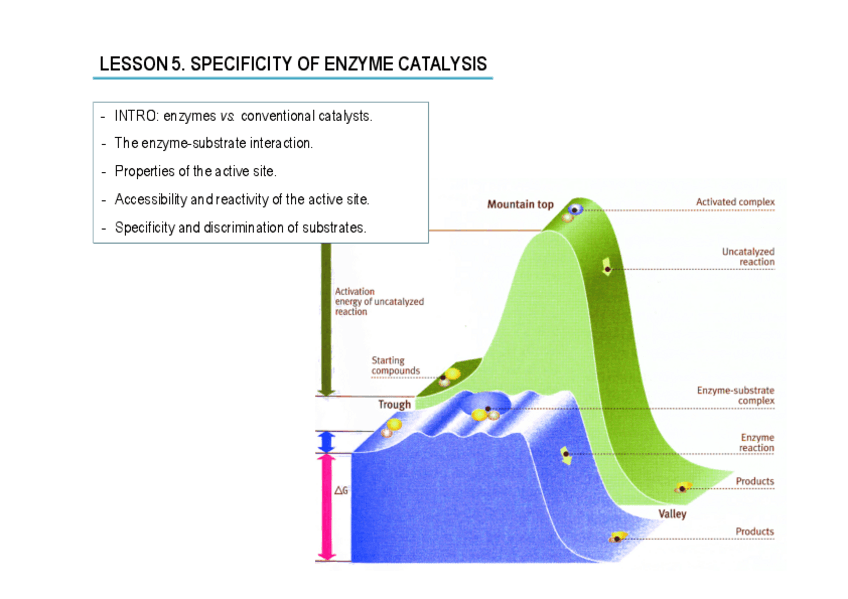 Miniatura del documento EGA-Tema-5.pdf