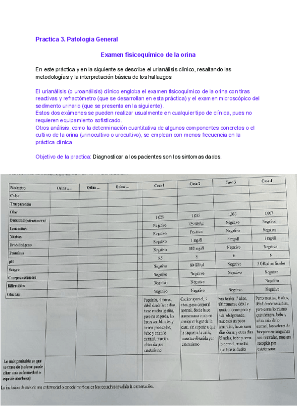Miniatura del documento Practica-C-PG.pdf