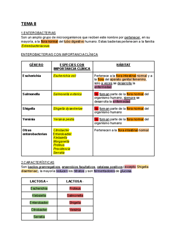 Miniatura del documento PROTOCOLO-DE-AISLAMIENTO-E-IDENTIFICACION-DE-BACILOS-GRAMNEGATIVOS.pdf