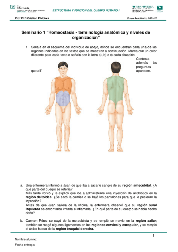 Miniatura del documento SEMINARIO-1.docx