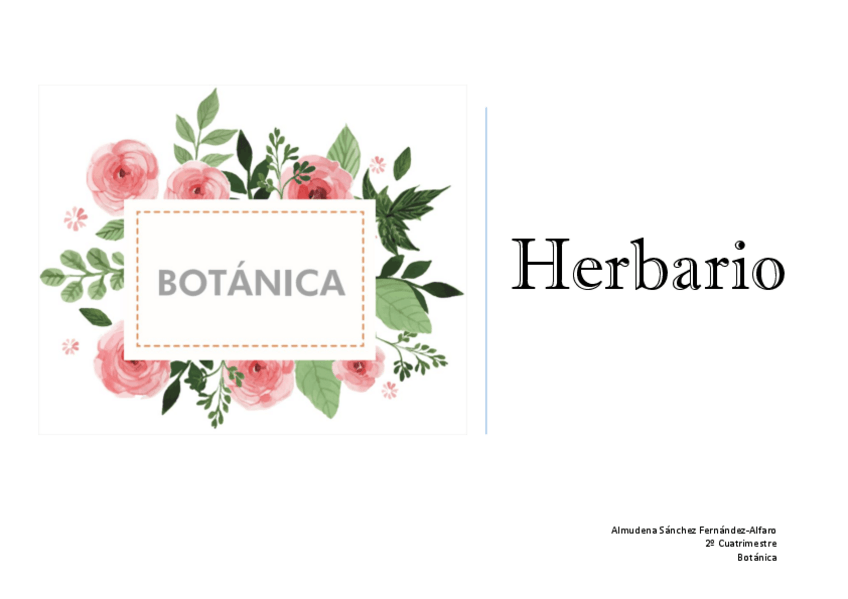 Miniatura del documento HERBARIOvDEF.pdf