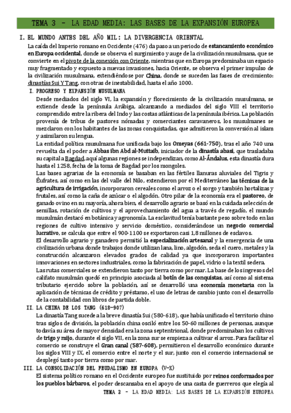 Miniatura del documento TEMA-3-La-edad-media-las-bases-de-la-expansion-europea..pdf
