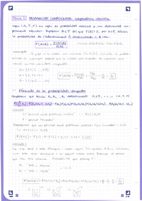 Miniatura del documento apunts.pdf