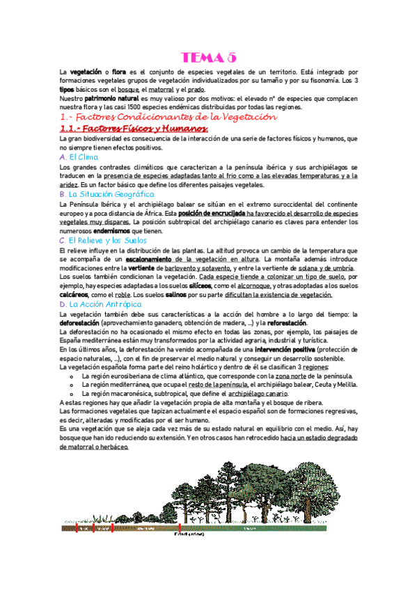 Miniatura del documento T5.-LA-VEGETACION.pdf