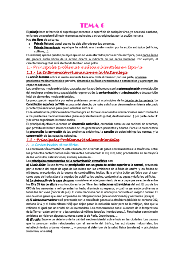 Miniatura del documento T6.-PROBLEMAS-MEDIOAMBIENTALES.pdf