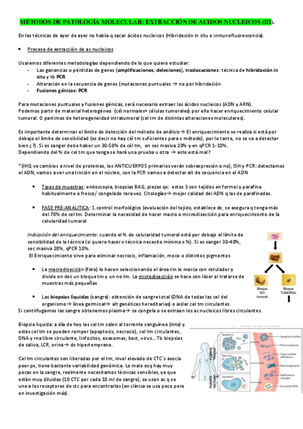 Miniatura del documento PM-tema-3-4-5.pdf