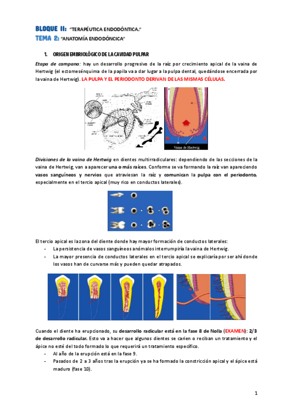 Miniatura del documento TEMA-2.pdf