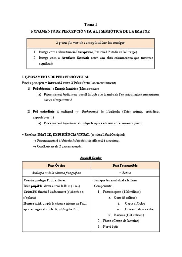 Miniatura del documento Teoria-de-la-forma-el-color-i-la-composicio.pdf