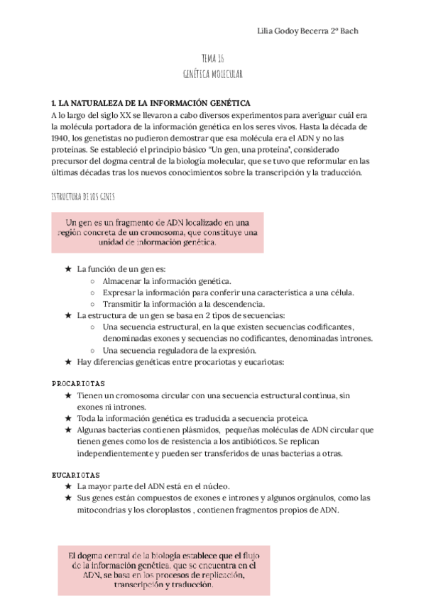 Miniatura del documento TEMA-16-Genetica-molecular.pdf