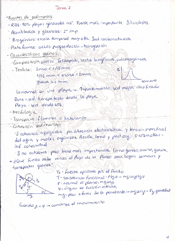 Miniatura del documento Morfodinámica temas 7-11.pdf