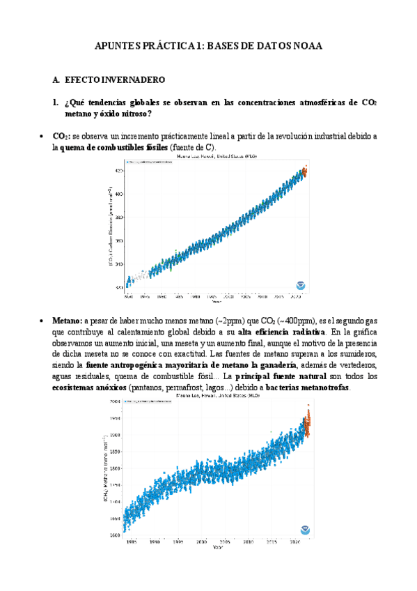 Miniatura del documento Practica-bases-de-datos-NOAA.pdf