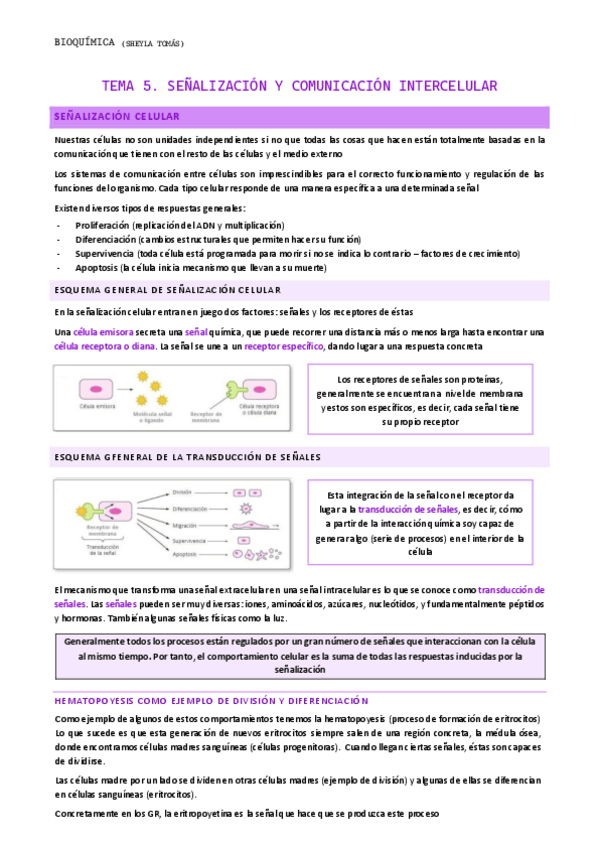 Miniatura del documento TEMA-5.-Senalizacion-y-comunicacion-intercelular.pdf
