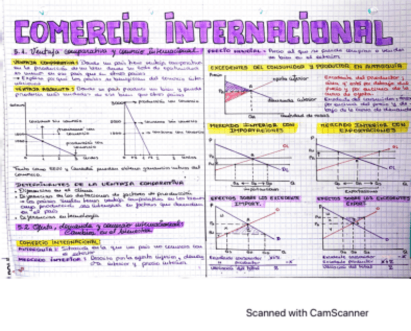 Miniatura del documento TEMA 5-COMERCIO-INTERNACIONAL.pdf