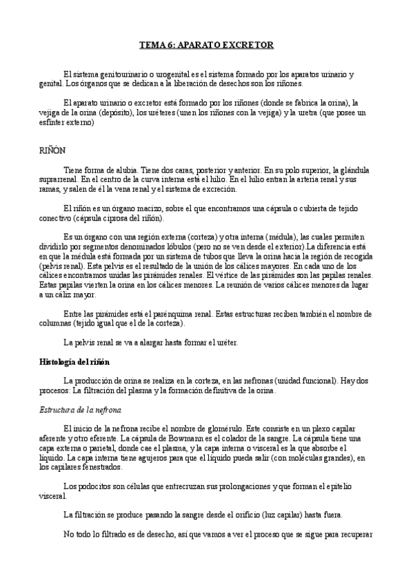 Miniatura del documento Tema 6- Anatomía.pdf