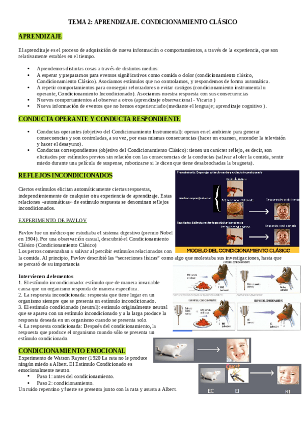 Miniatura del documento TEMA-2-PPB.pdf