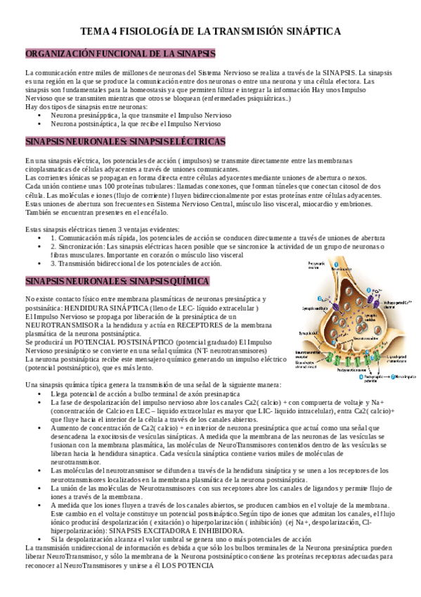 Miniatura del documento TEMA-4 MODULO I.pdf