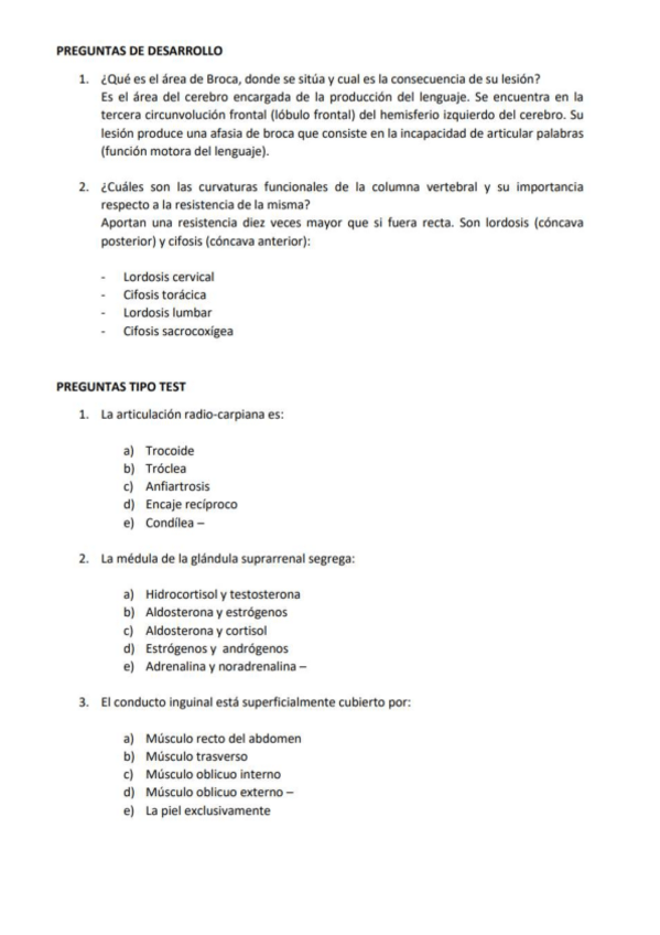 Miniatura del documento Examen-de-Anatomia-2020.pdf