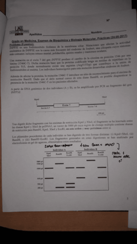 Miniatura del documento Practico-De-Bbm-Corregio.pdf