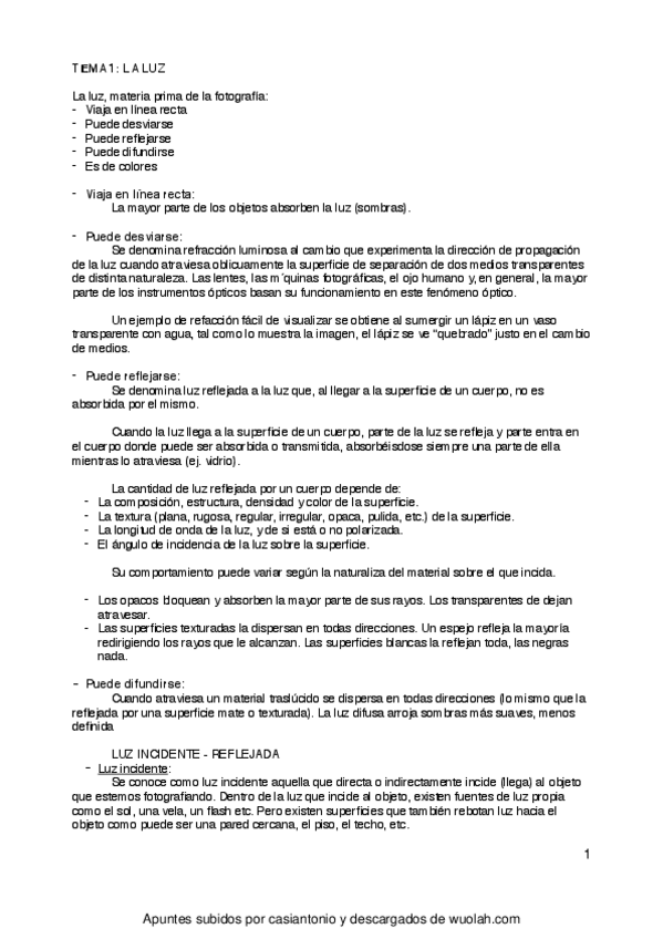 Miniatura del documento TEMA 1.pdf
