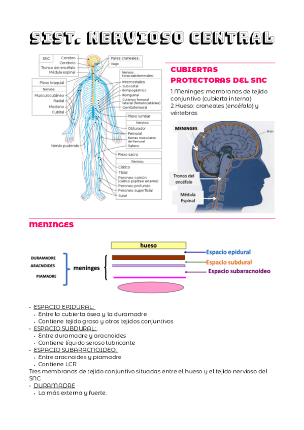 Miniatura del documento TEMA-3.pdf