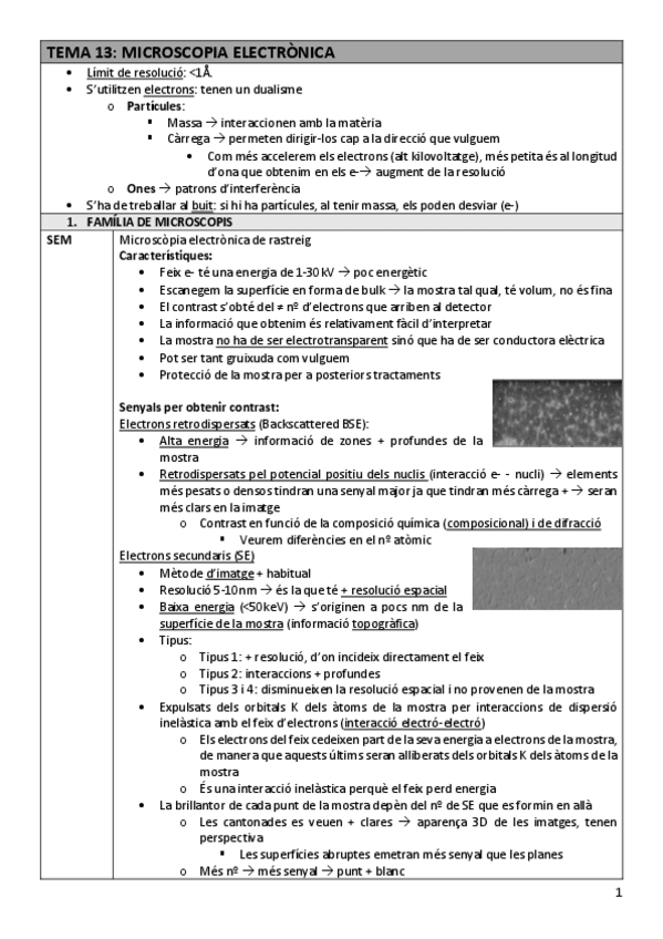 Miniatura del documento TDI-Tema13microelec.pdf