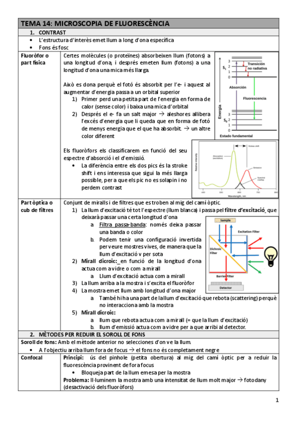 Miniatura del documento TDI-Tema14microfluore.pdf