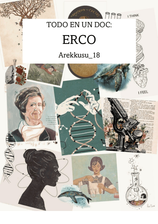 Miniatura del documento ERCO-Todo-en-un-Doc.pdf