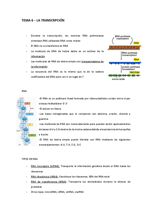 Miniatura del documento TEMA-6.pdf