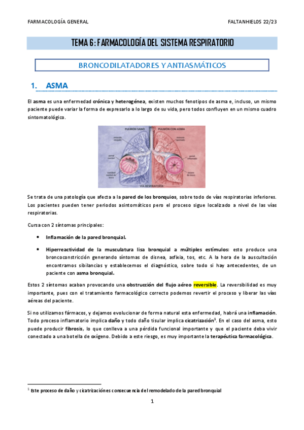 Miniatura del documento 6.-Farmacologia-del-sistema-respiratorio.pdf