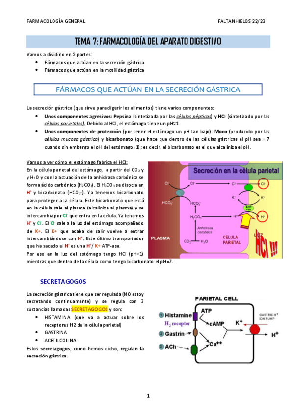 Miniatura del documento 7.-Farmacologia-del-aparato-digestivo.pdf