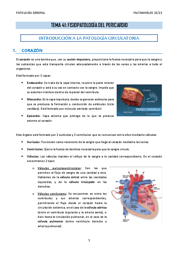 Miniatura del documento 41.-Fisiopatologia-del-pericardio.pdf