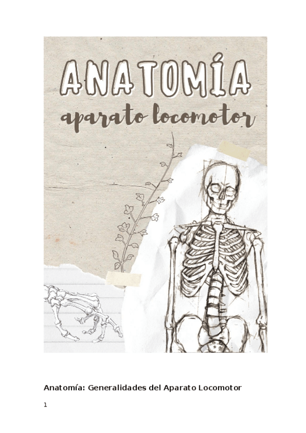 Miniatura del documento APUNTES-Anatomia-LOCOMOTOR.docx