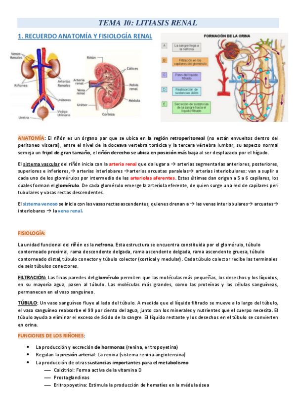 Miniatura del documento TEMA-10.pdf