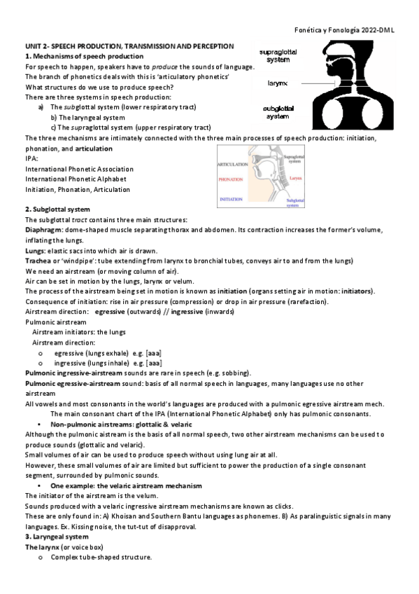 Miniatura del documento UNIT-2-MECHANISMS-OF-SPEECH.pdf