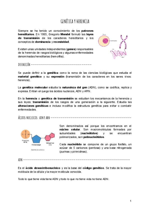 Miniatura del documento Genetica-y-herencia.pdf