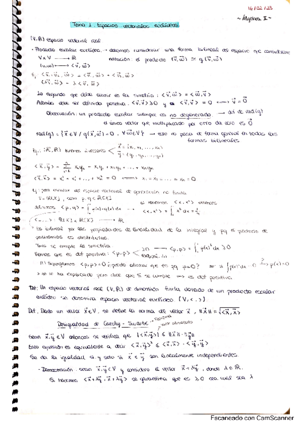 Miniatura del documento APUNTES-tema-1-alg2.pdf