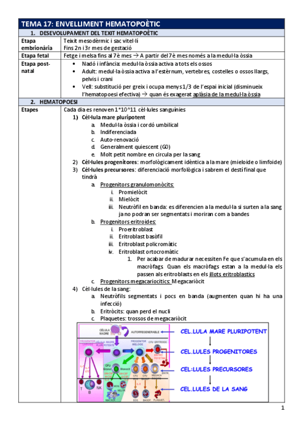 Miniatura del documento FP-Tema17hemato.pdf