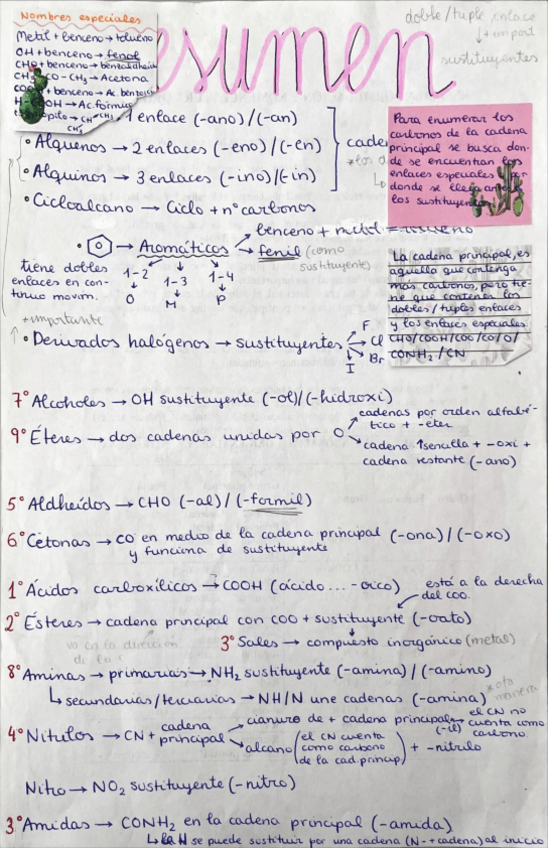 Miniatura del documento RESUMENCHULETA-FORMULACION-ORGANICA.pdf