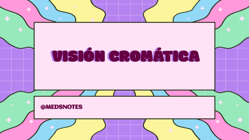 Miniatura del documento vision-cromatica.pdf