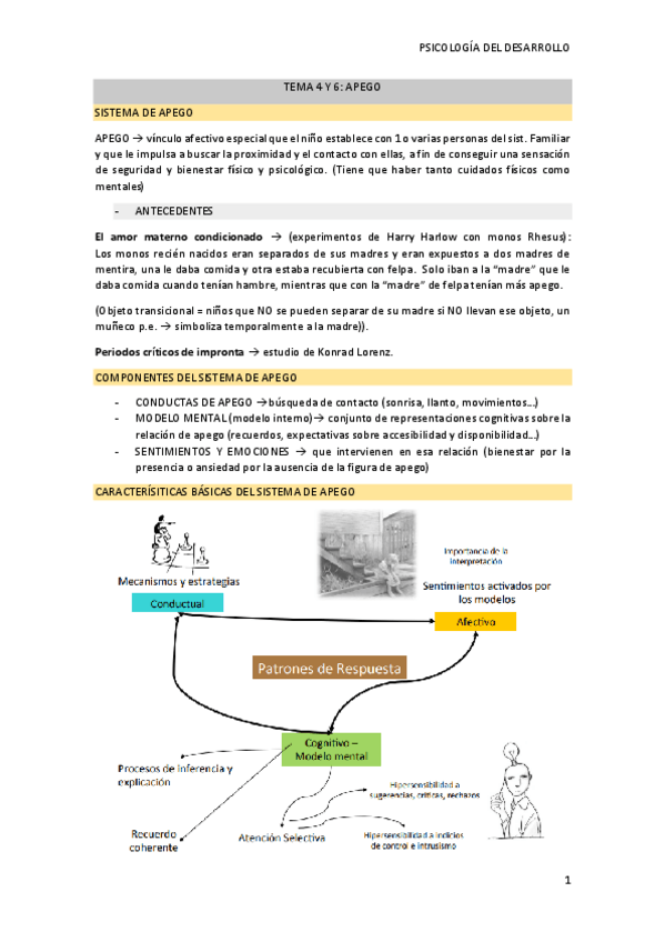Miniatura del documento TEMA-4-y-6-apego.pdf