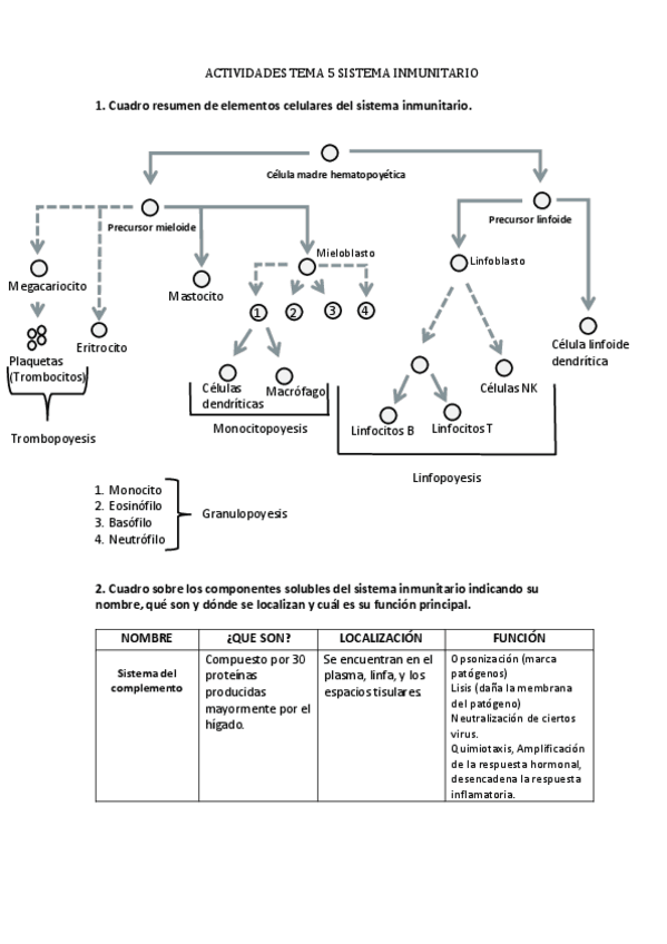 Miniatura del documento SISTEMA-INMUNITARIO.pdf